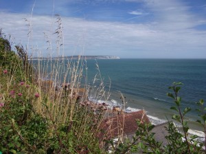 view from the cliff