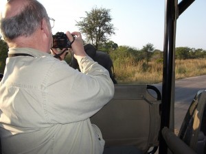 Tourists must stay in the vehicle on a game drive