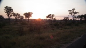 sunrise over the grasslands