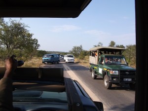 numerous vehicles parked on road