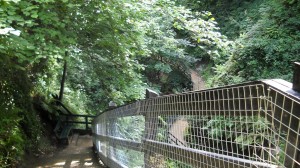 steep steps leading down into the chine