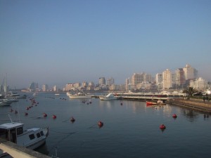 harbor with city skyline in background