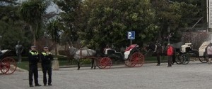 Horse and carriage tours of Ronda, Spain