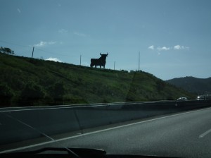 Osborne bull along a Spanish highway
