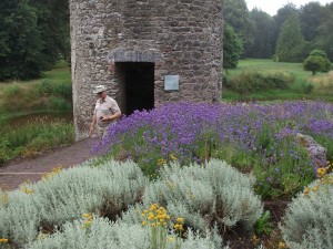 Gardens at Blarney Castle