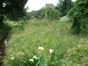 Can you spot Blarney Castle?