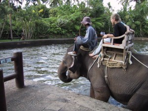 Elephant Safari Park, Bali
