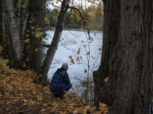 Adams River, British Columbia, Canada