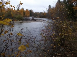 Adams River, British Columbia, Canada