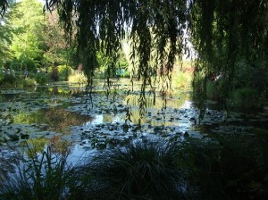in Monet's water garden