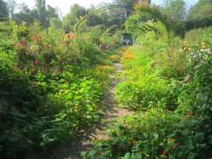 Monet's flower garden  in September
