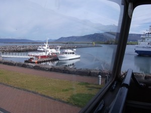 take a boat across to Videy Island ,Iceland