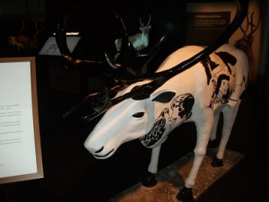 Reindeer Parade, exhibition at Harpa, Reykjavik