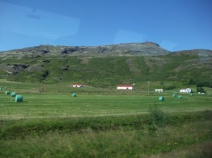 Farm in Iceland