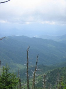 033- View from Clingman's Dome