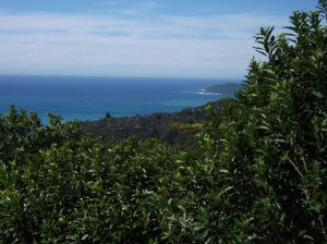 DSCF6132a