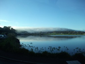 DSCF7577a