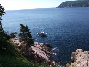 near Keltic Lodge, Cape Breton