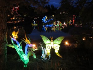 img_6200-montreal-garden-of-lights